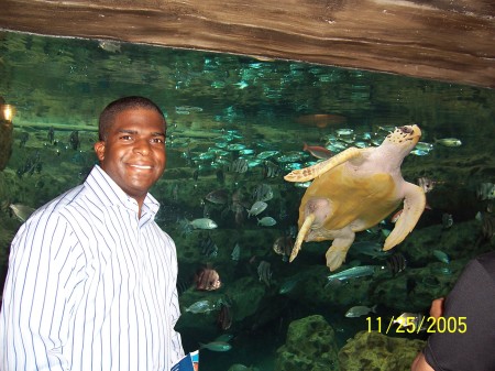 Ray and Turtle Friend