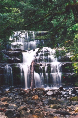 Liffy Falls, Tasmania, Australia