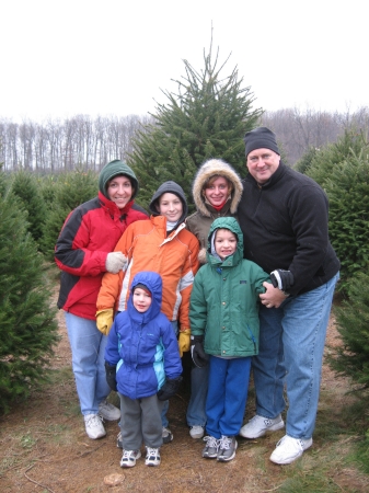 Christmas Tree - 2008
