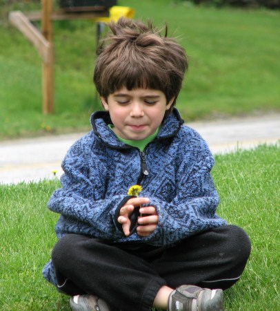 Nicholas & Dandelion 2006