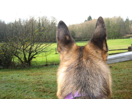 Looking out over a December Morning