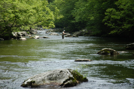 Candice fly fishing Smokey Mountain Stream