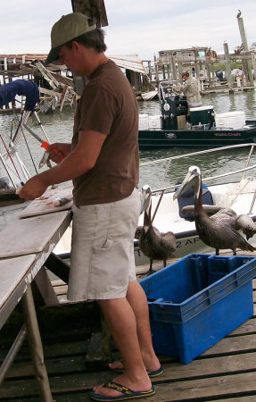 pelican friends