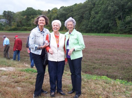 Shirley, Vickie, &  Cille