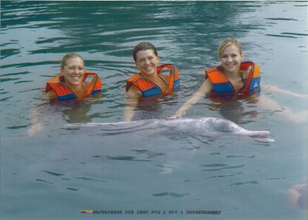 Swimming with dolphins (and some friends) in Singapore