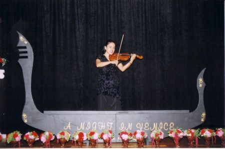 Viennese Violinist