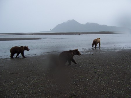 Katmai 2005