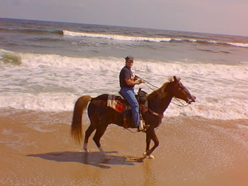 My horse BJ on St Augustine Beach
