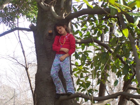 Alyssa in tree