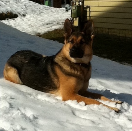 Dakota - Feb 2010