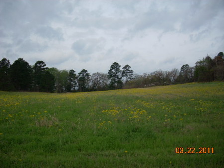 A field close to where my house is.
