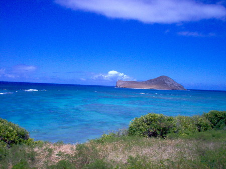 East shore of Oahu