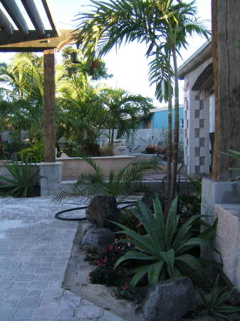 View from entry to kitch garden to front patio