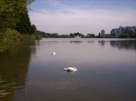 Lost Lagoon