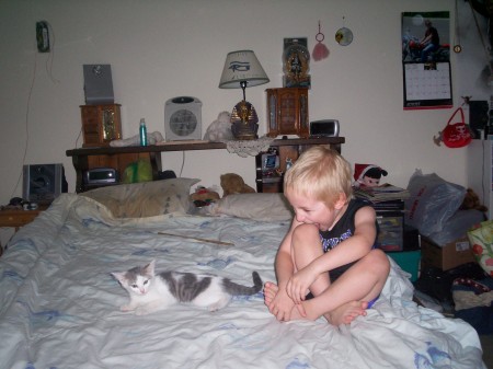 boy and the kitten