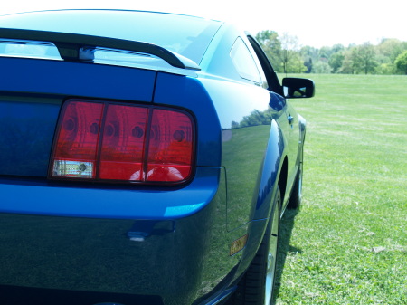 mustang at coloniel park 017