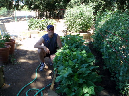 Did I mention I have a small garden