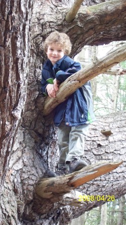 Ben in a very big tree