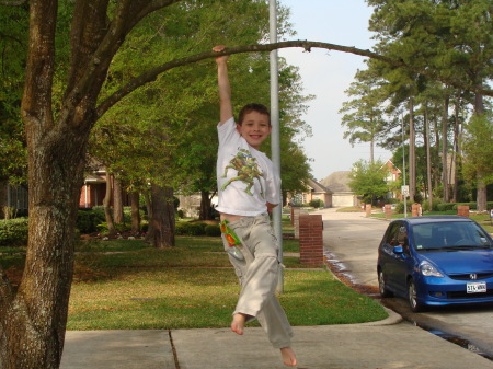 Matthew hanging from our tree