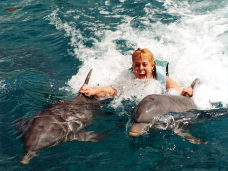 Dolphin Tow Cozumel Mexico