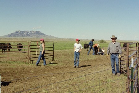 Tending the Gate