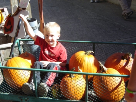 Nolan at the orchard