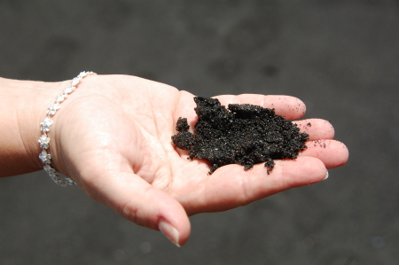 Black Sand in Maui 2008