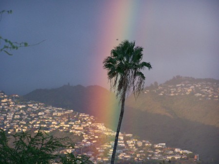 HAWAIIAN RAINBOW.