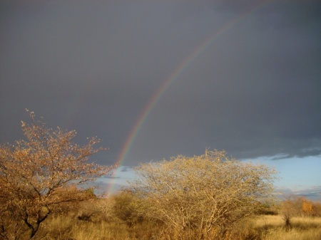 A Potential Pot of Gold