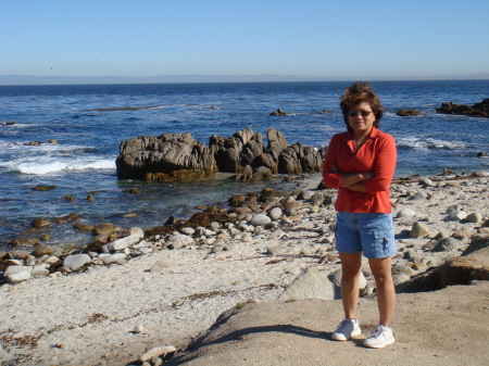 Monterey 2008