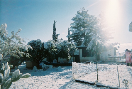 1-22-2007   snow day-05