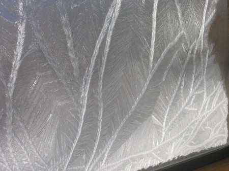 frost on our outside living room window