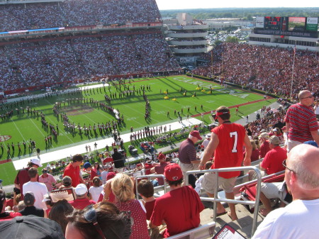 Georgia Bulldogs &  South Carolina football