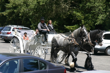 Delivering Groom