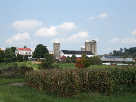 Beachdale Farms