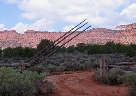 Tree Gate