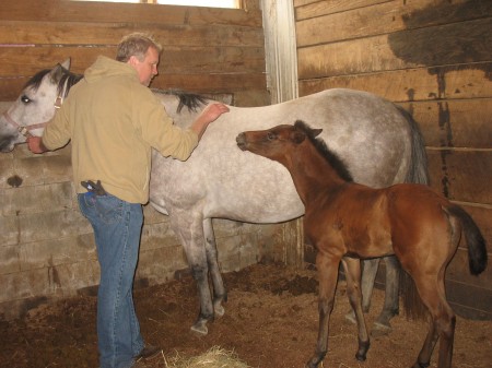 Me my Horse and her Baby