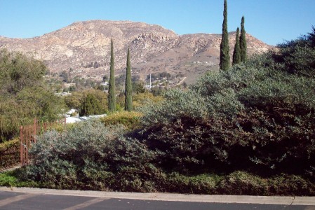 VIEW FROM  MY MASTER BEDROOM, LAKESIDE, CA.