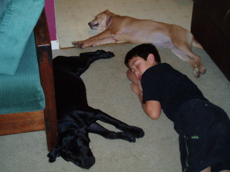 Diesel, Bella and Conner napping