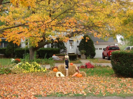 Fall in Illinois