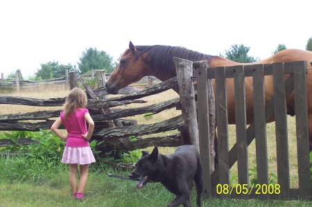 Riley with a horse and Ebby dog at park