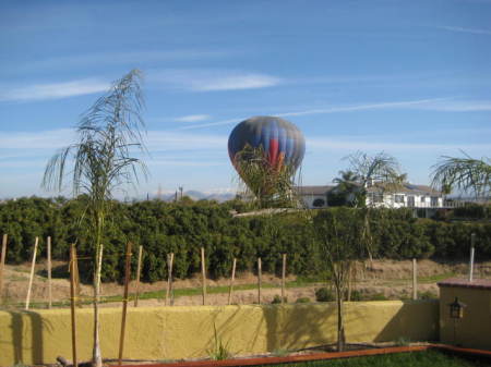A hot air balloon from my backyard!