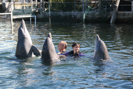 dolphins plus 012908 038