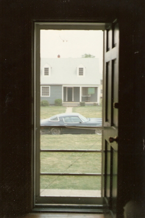 My Firebird, my first car