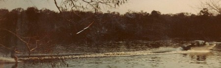 Water Skiing