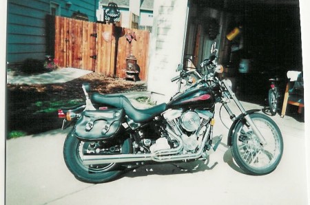 My third bike 1999 Softtail