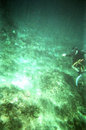 Pete Ardry's album, Diving Maui