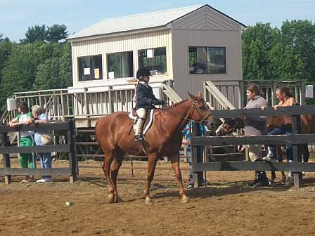 Victoria - the budding equestrian