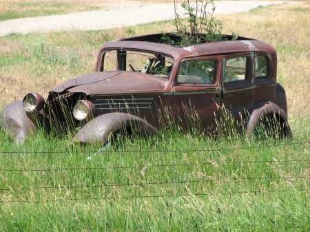 entry to a ranch near harrison-1