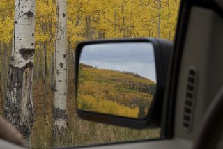 Aspens in Side View Mirror